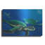 Art mural en métal Beachcrest Home ™ «Green Sea Turtles» par Durwood Coffey-1359731161
