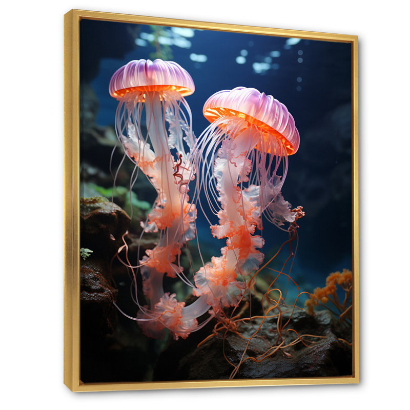 MacDowell Animal Jellyfish Portrait II - reproduction, H 32 po x l 24 po x P 1 po, Cadre flottant doré