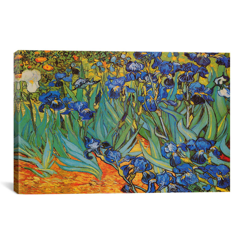 « irises » par vincent van gogh, impression, Toile, H 18 po x l 26 po x p 0,75 po