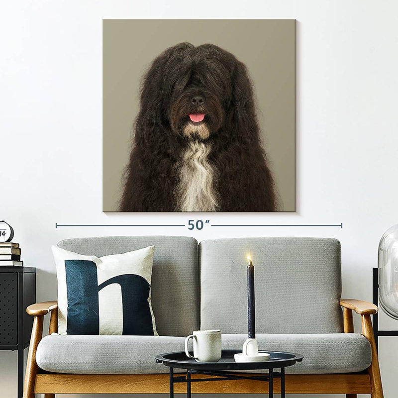 Brampt Jarjar The Tibetan Terrier, 33" H x 33" W