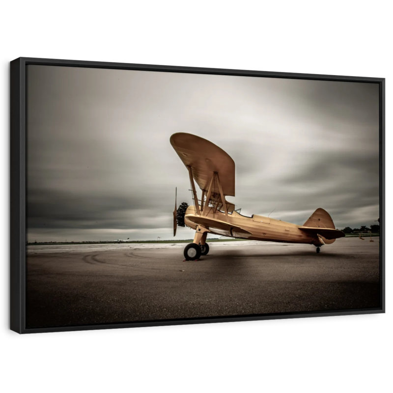 " Biplane Wall Art ", 40" H x 27" W