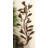 Traditional Plants & Flowers Wall Decor on Metal-1291956717