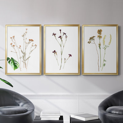 " Pressed Botanical I " 3 - Pieces