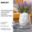Head Oval Planter-346910922