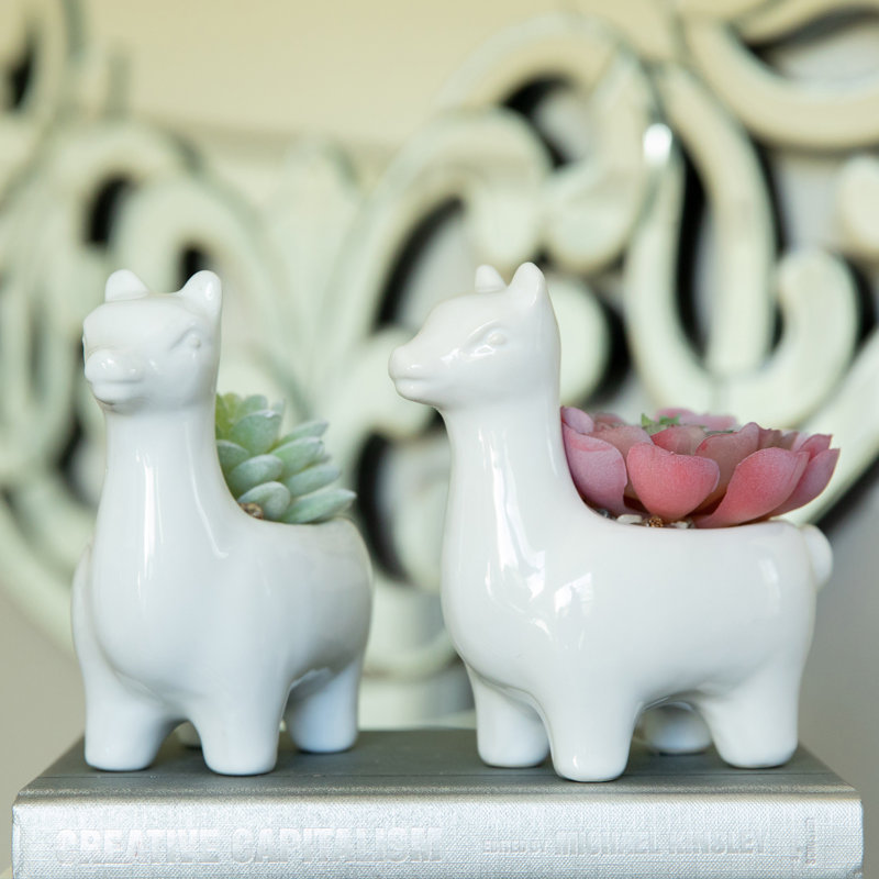 Oaklee Ceramic Pot Planter, White