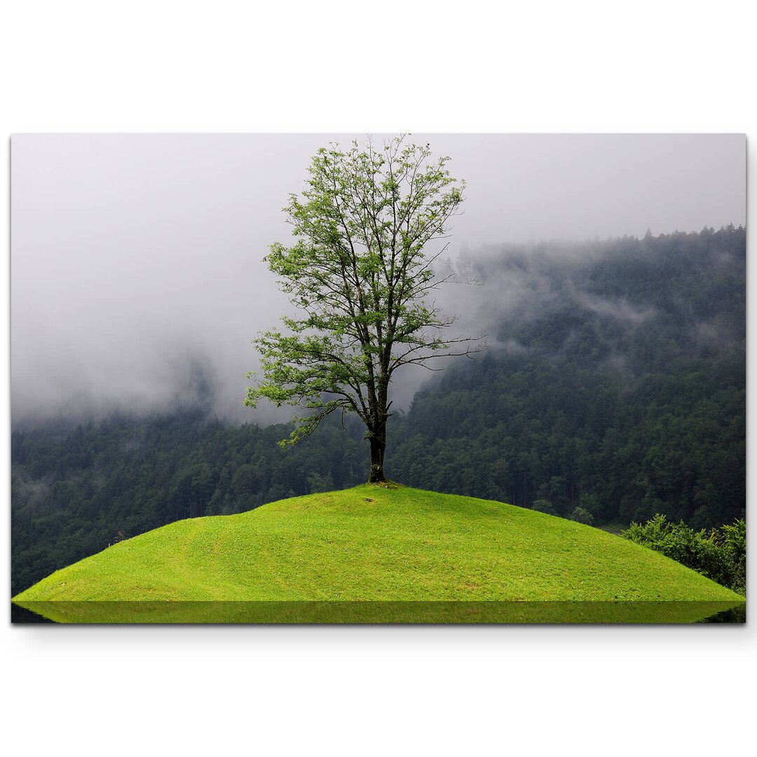 Leinwandbild Spiegelung Baum im Wasser