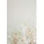 Large Contemporary Abstract Flower - Floater Frame, reproduction d'art sur toile