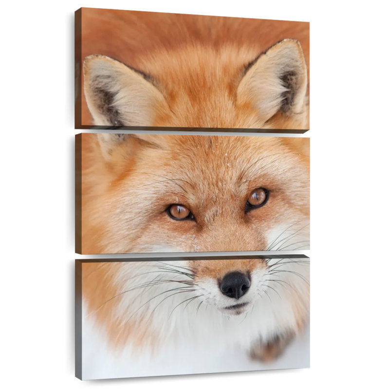 Brampt Fluffy Red Fox, 32" H x 20" W