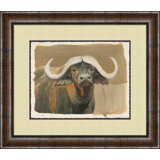 Ox Portrait Print