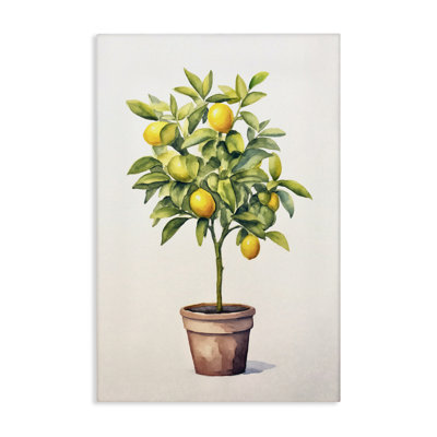 Toile d'agrumes, conception par Andrea Haase