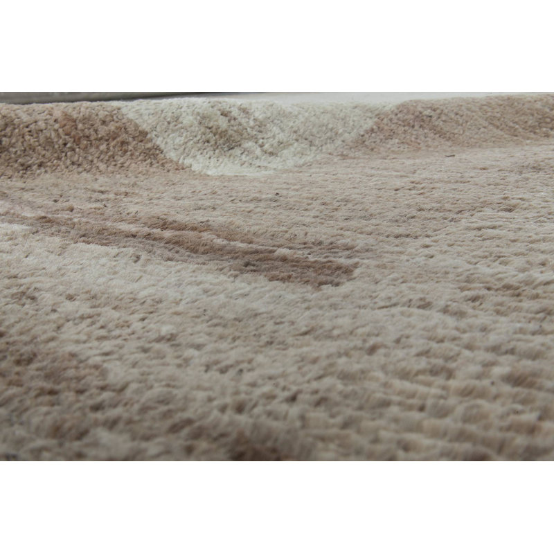 Tapis moderne beige, taupe, brun et chanvre 10 pi x 14 pi Modern