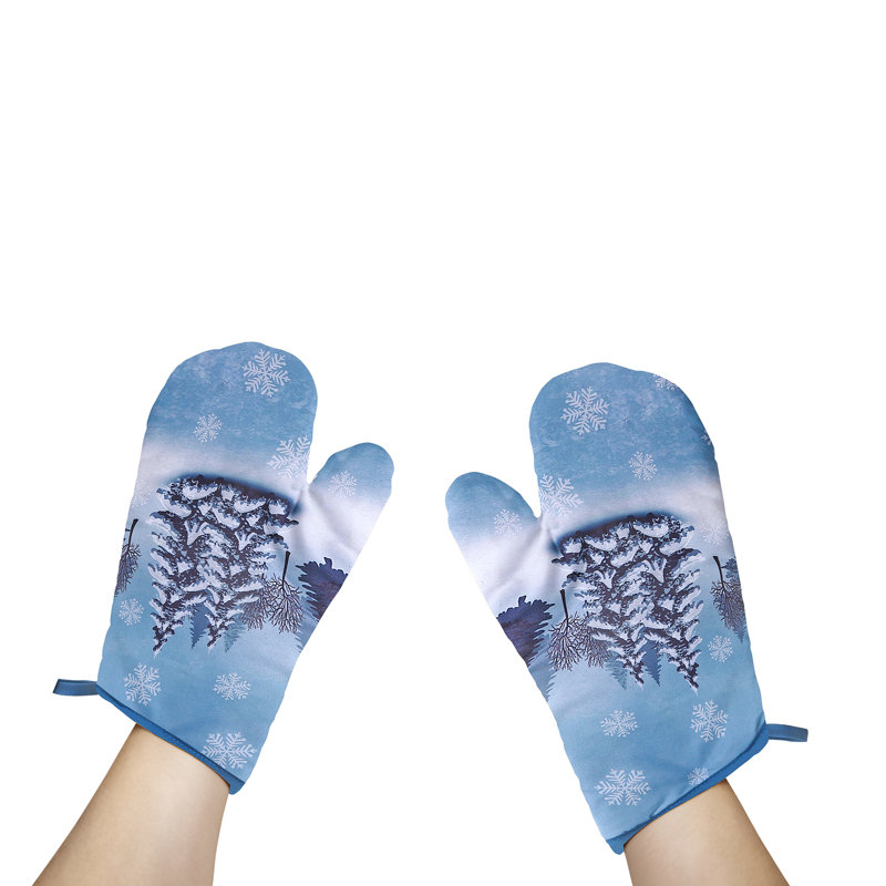 Ensemble de gants de cuisine en mélange de polyester IH Casadecor