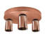 Nantan Spotlight-338736453-338736451