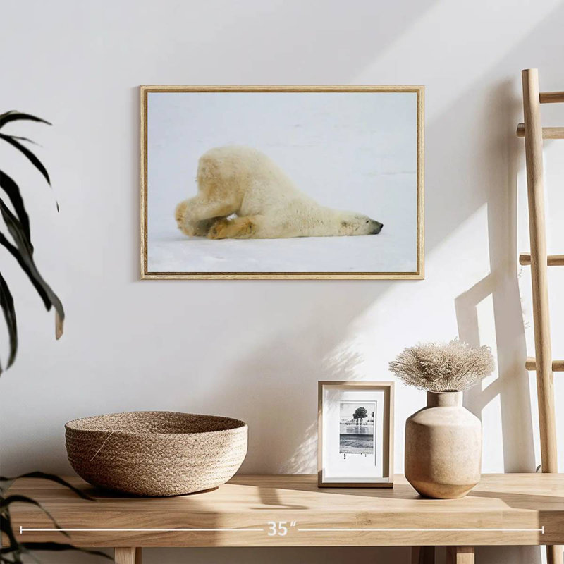 Ours polaire paresseux, Cadre flottant en bois naturel, 19 po x 13 po