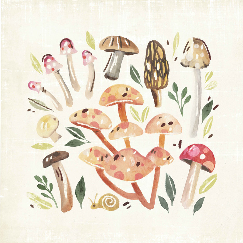 Champignon Fungi Field Trip I, H 12 po x l 12 po