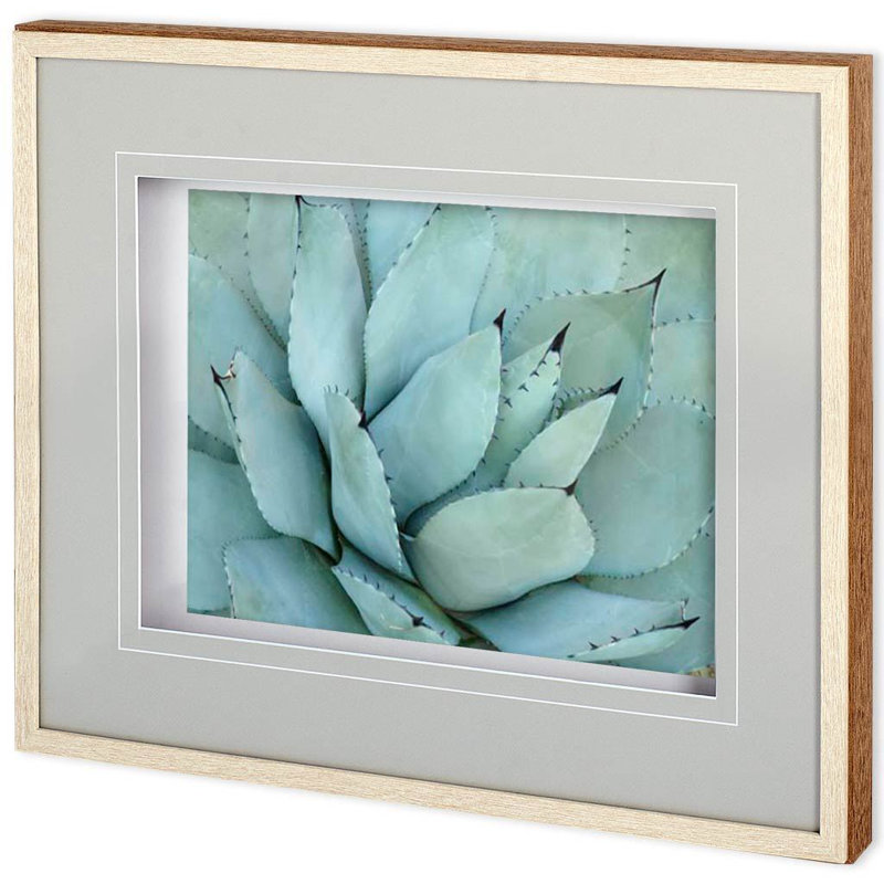 «Agave Détail» par Alison Jerry, reproduction d'art encadrée sous verre, Agave Détail III