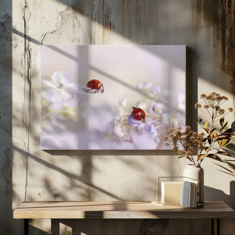 Wrapped Canvas Print, 60.96 cm H x 91.44 cm W