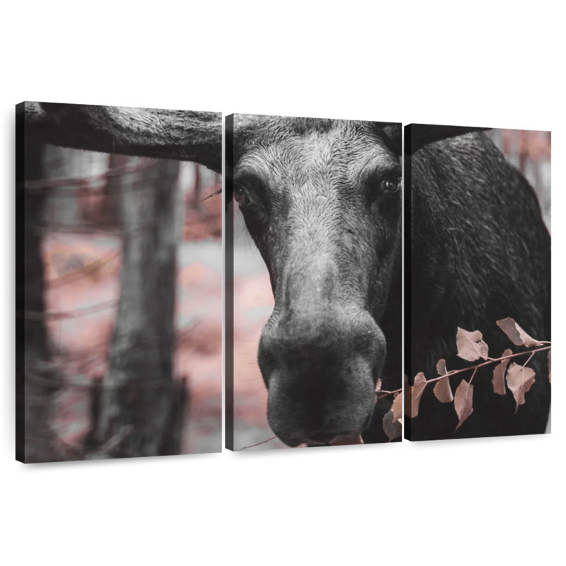 Black Moose, 24" H x 38" W
