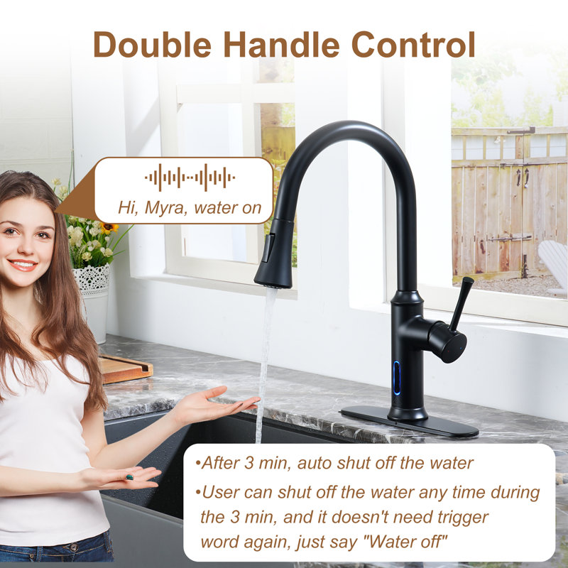 Willow Smart Faucet Touchless Pull Down Sprayer Kitchen Faucet with Voice and Motion Control, Matte Black