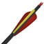  Flèches arc standard 30 "0,3" carbone 12 pièces