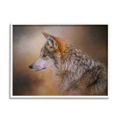 Portrait d'un loup de la faune - photographie