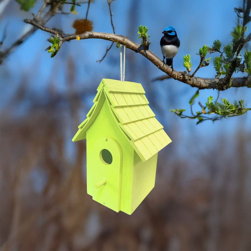 Cabane à oiseaux 10 po x 7 po x 6 po Sheali, Vert