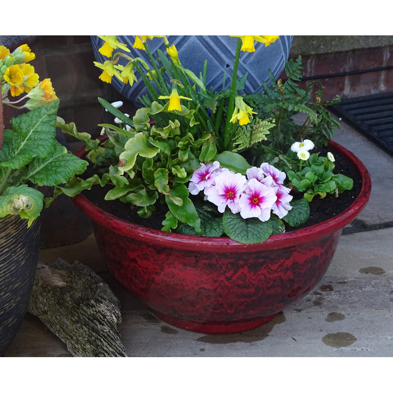 Kylemore Hand-Painted Pot Planter, Ruby Red