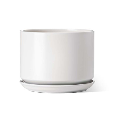 Wrought Studio 12 Inch Ceramic Plant Pots With Drainage Holes And Saucers  Indoor | Wayfair