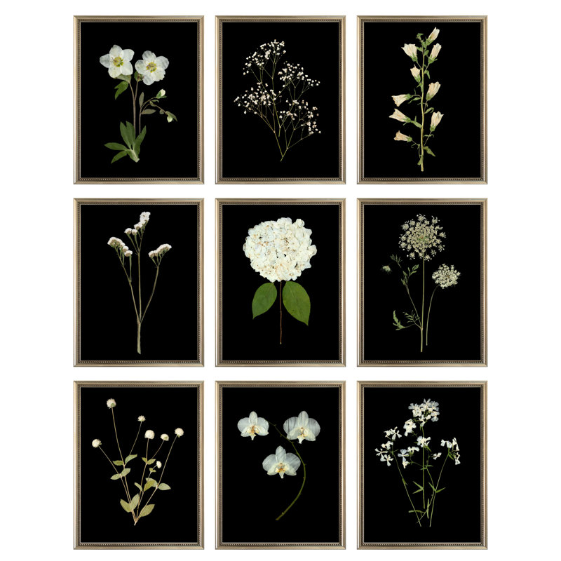 Pressed Botanical Giclees On Black Set by Sandy Whitaker, 35" H x 39.75" W, Silver Bead 2