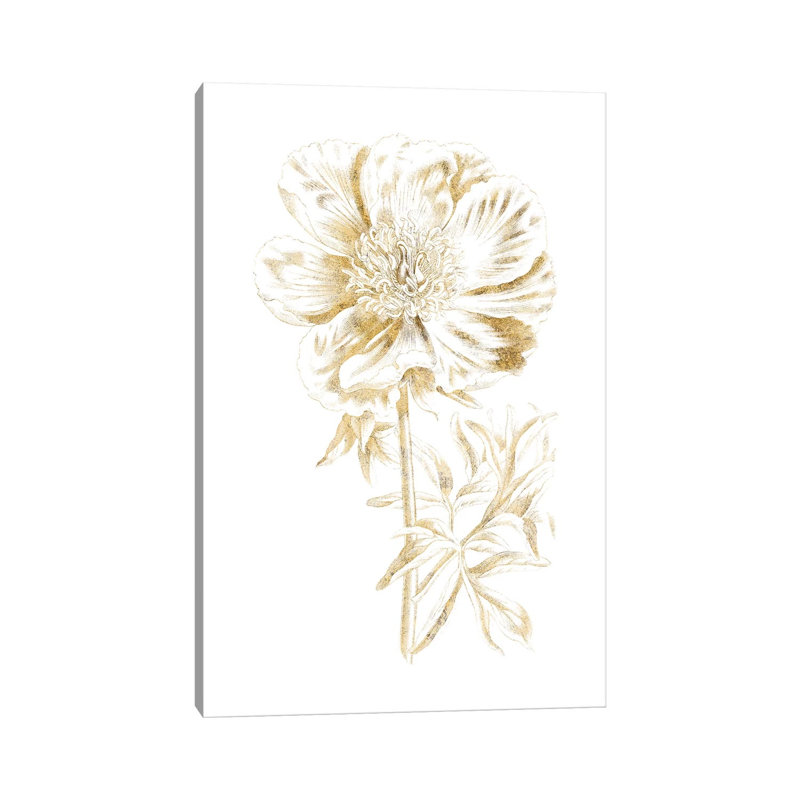Gilded Botanical VIII by Wild Apple Portfolio - Wrapped Canvas Painting, 101.6 cm H x 66.04 cm W x 3.175 cm D