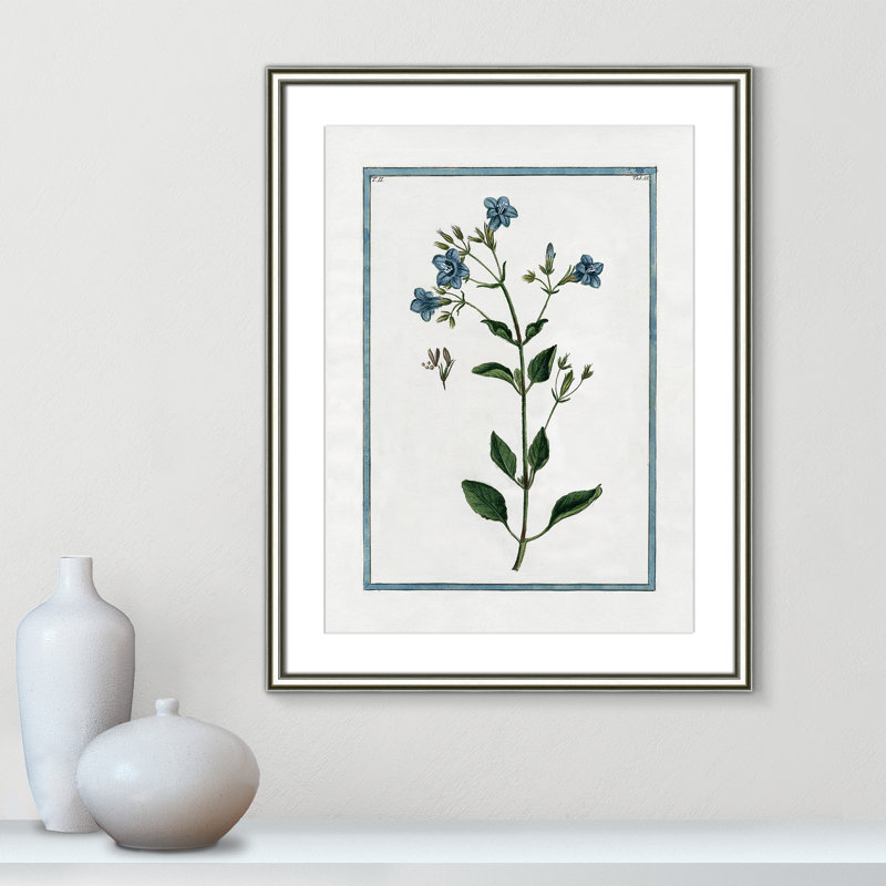 Colombe Shabby Elegance Botanical II - Art encadré, L 18,25 po x H 24,25 po, Cadre argenté