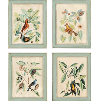Birds by Catesby Traditional Art set
