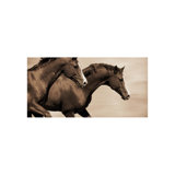 Wild Horses In Far West Print by Sofia Fox