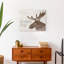 Dream Big Canvas Print-1369016142