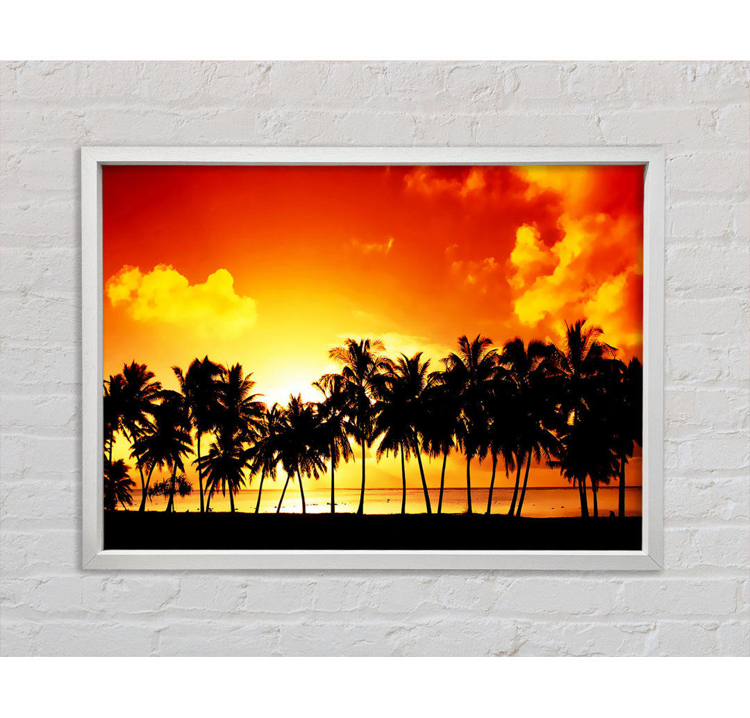 Orange Palm Tree Sunset - Einzelbildrahmen Kunstdrucke auf Leinwand