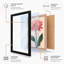 Single Pink Daisy Botanical - Framed Print-1494373313-1494373312