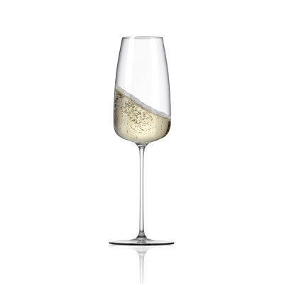 RONA Orbital 13 oz. Champagne Flute 