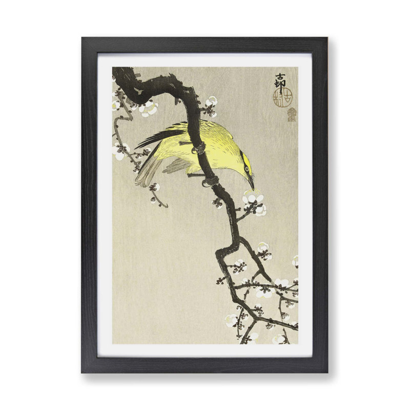 Chinese Oriole Bird on A Plum Blossom by Ohara Koson - Framed Print, 45cm H x 63cm W x 2cm D, Black