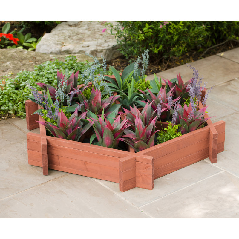 Lit de jardin surélevé en bois 4 pi x 4 pi