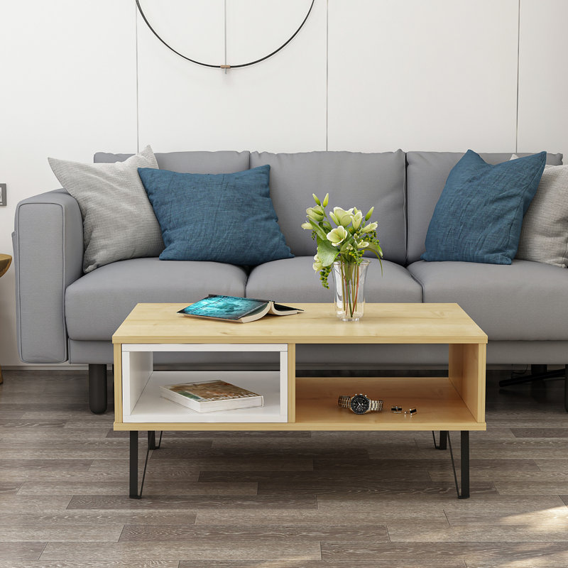 Medota 4 Legs Coffee Table with Storage, Oak/White