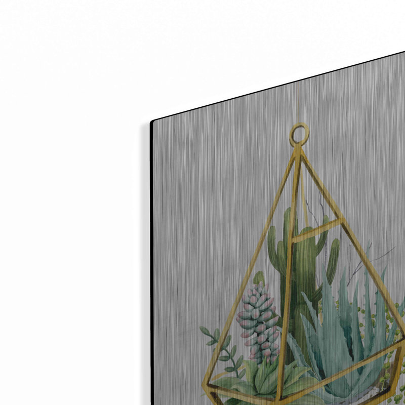 «Wild Terrarium III» par Grace Popp, H 16 po x l 12 po