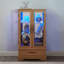 Vitrine lumineuse vitrée avec tablettes réglables - 2 portes