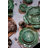 Cabbage Earthenware Floral Charger-63962628