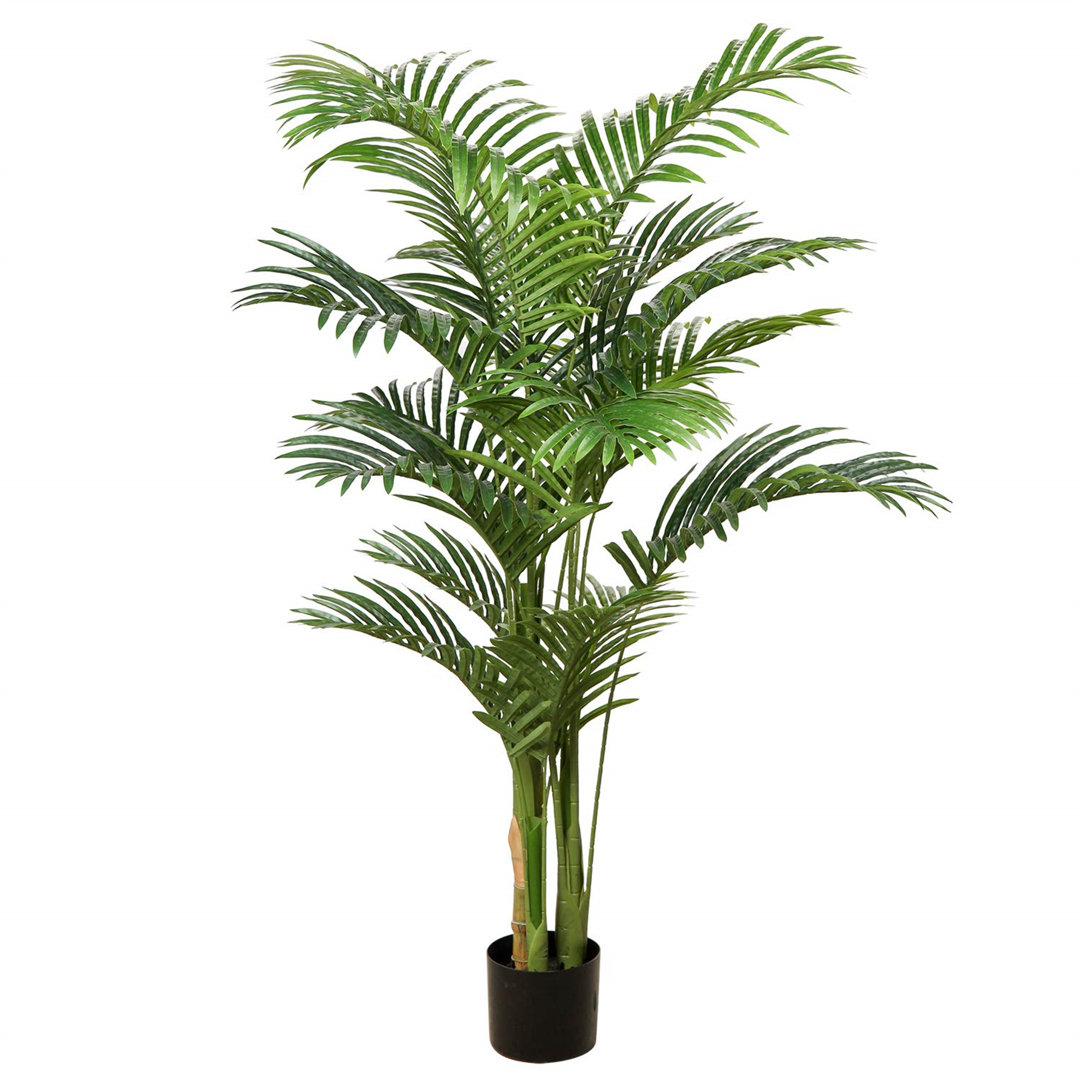 140cm Plant