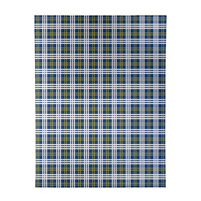 Plaid Indoor Rug