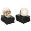 Halloween Gothic Skull Book Ends