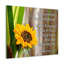 Rejoice Evermore - Wrapped Canvas Print-753915393