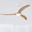 Ventilateur de plafond 52 po-121071158-121071161