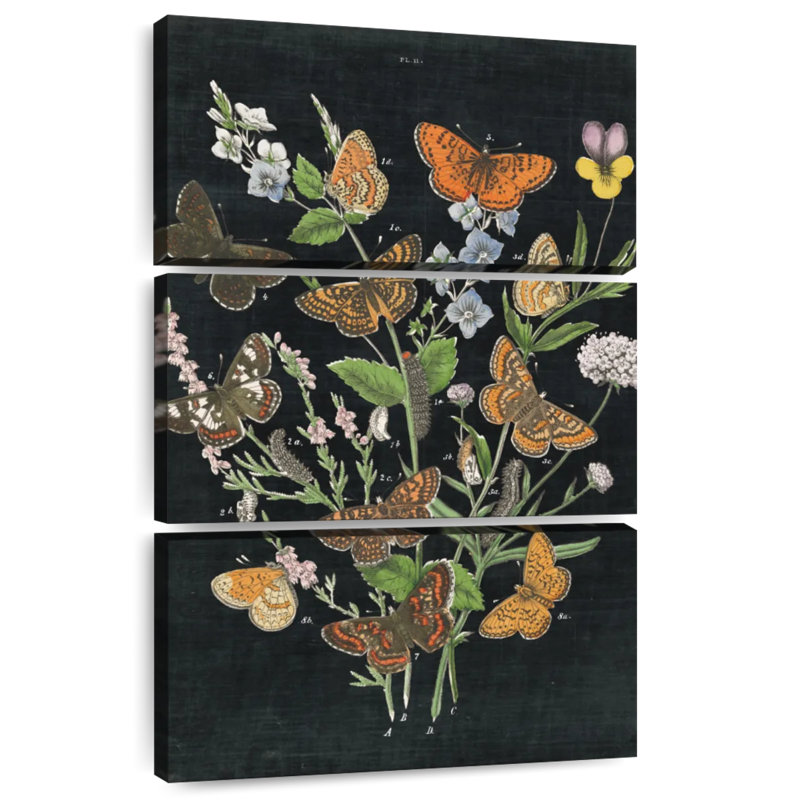 Brampt Butterfly Bouquet On Black I, 32" H x 20" W