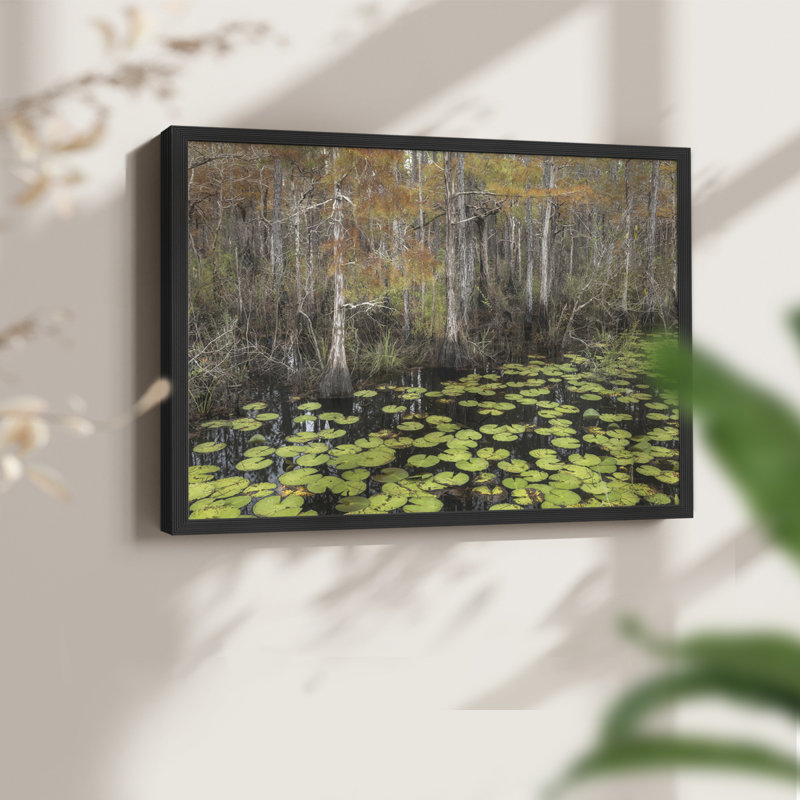 Bayou - reproduction encadrée d'automne, H 8 po x l 10 po, Noir, noir, noir, noir